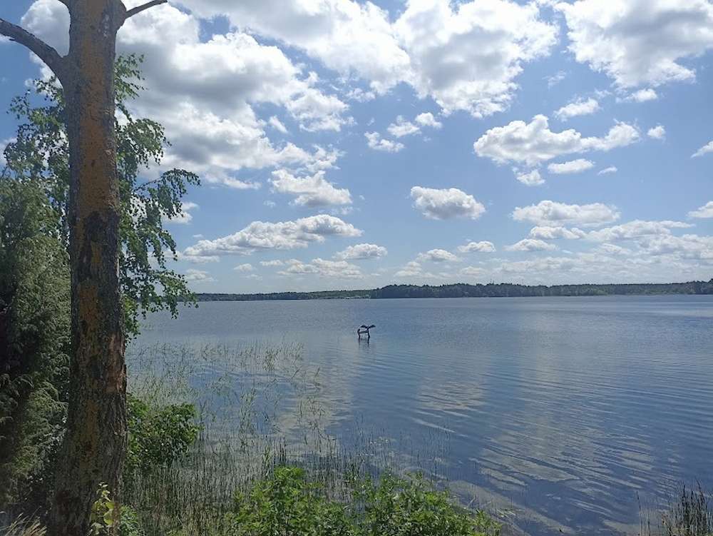 Відпочинок на Шацьких озерах-2023: яким ми побачили легендарний Світязь (фото)