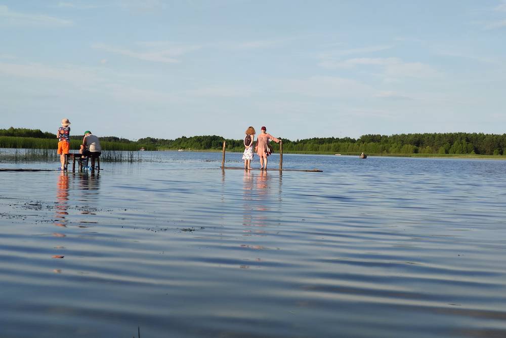 Відпочинок на Шацьких озерах-2023: лебеді, пончики, сомики, лохина і дивовижно чиста вода (фото)