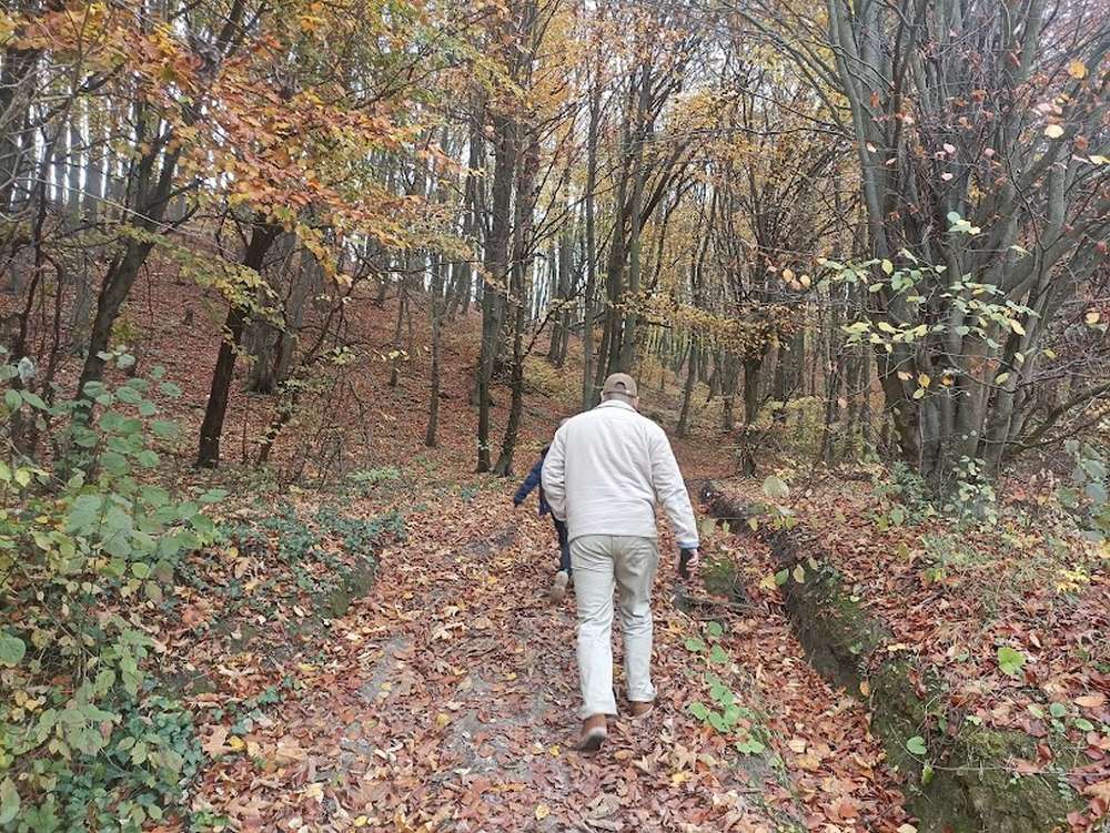 Ось так виглядає ліс у Зашкові. У листопаді вже немає стільки яскравих кольорів, як у жовтні. До того ж у день нашого візиту була похмура погода. Але все одно гарно. 