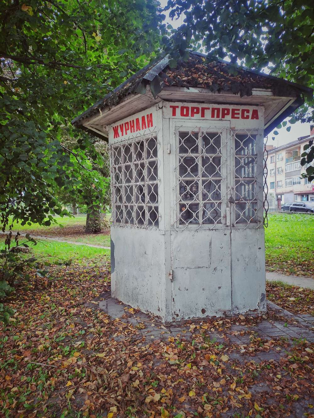 Кам’янка-Бузька: батьківщина українського театру, «чорний парк» Бандери, старе місто, що дихає історією