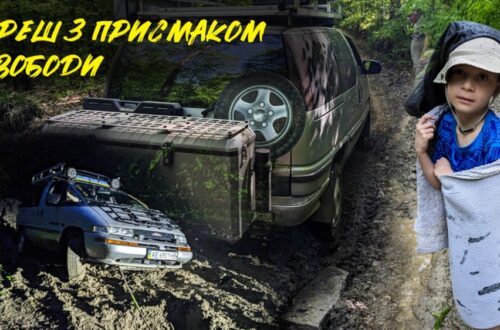 Ризикована подорож лісовою дорогою, яка перетворилася на ТРЕШ, але мала щасливий, майже біблейський, фінал (фото, відео)