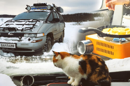 Ванлайф взимку: подорож на автобудинку з кішкою, пікнік серед засніженого поля, так можна пережити блекаут